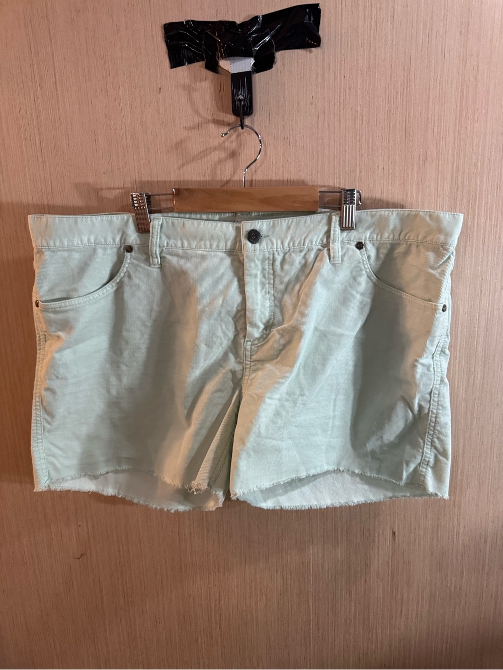Women’s Carve Designs Mint Green Corduroy Jean Shorts Size 16